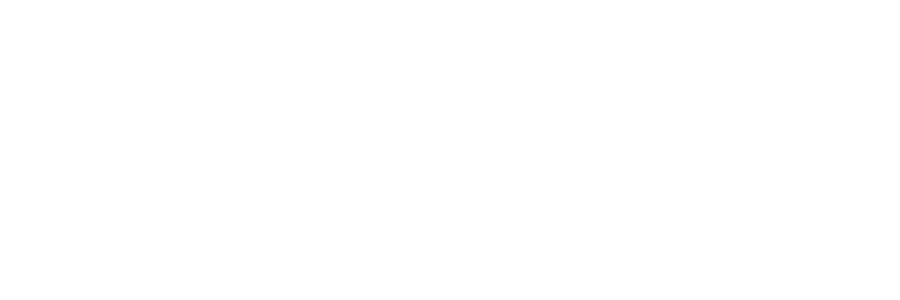 We stand with Anna - endorsements