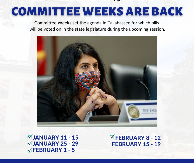 Your Latest Legislative & COVID19 Update from Team Anna