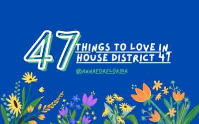 47 Things to Love In House District 47