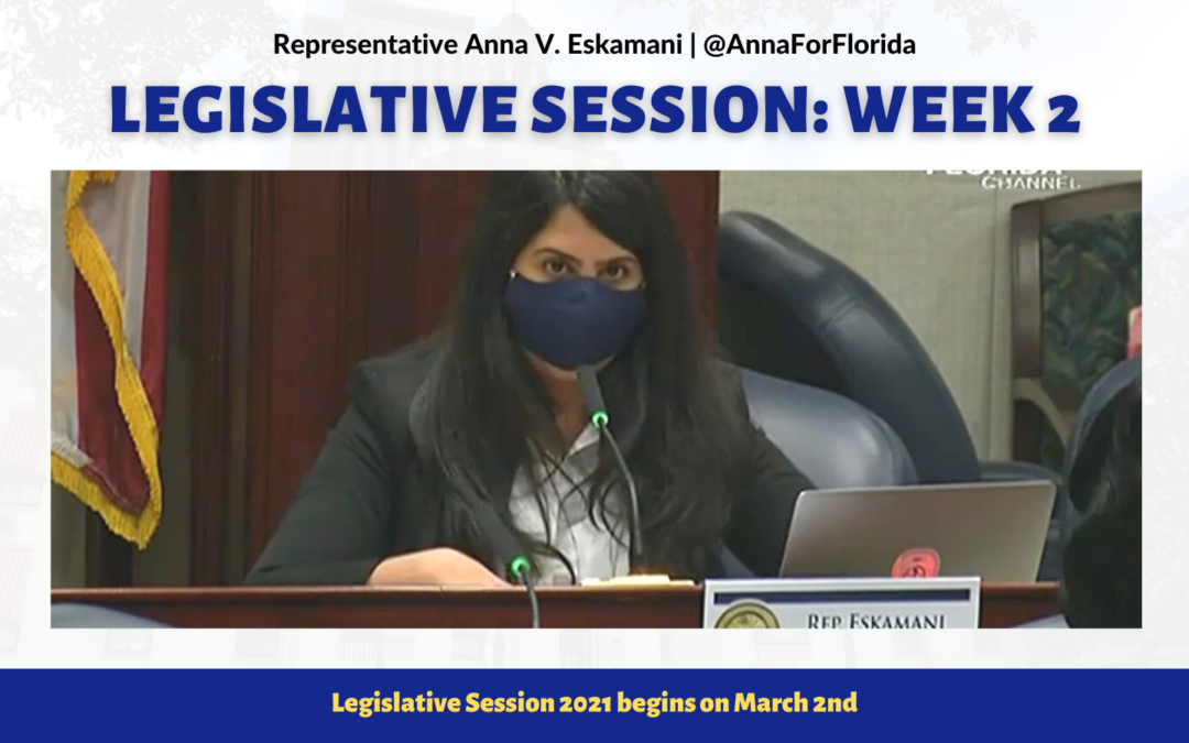 2021 Legislative Session | Anna V. Eskamani For Florida House