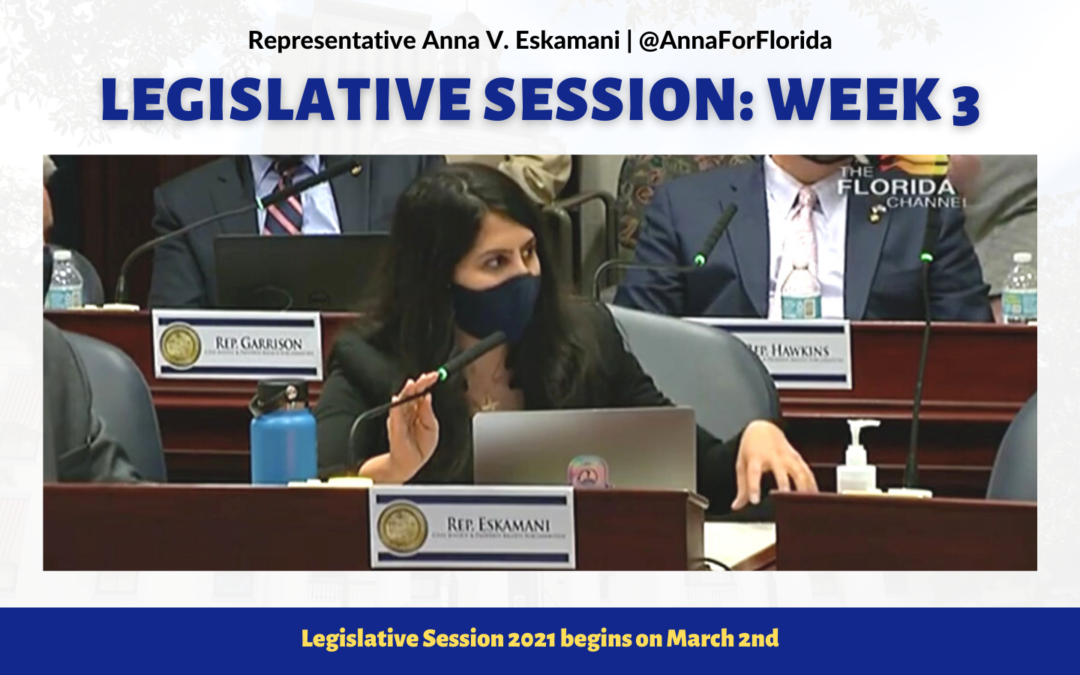 Your Florida Legislative Session Update: Week 3