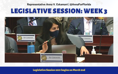 Your Florida Legislative Session Update: Week 3