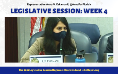 Your Florida Legislative Session Update: Week 4