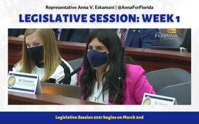 Your Florida Legislative Session Update: Week 1