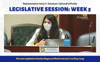 Your Florida Legislative Session Update: Week 5