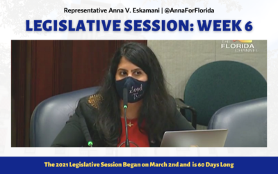 Your Florida Legislative Session Update: Week 6