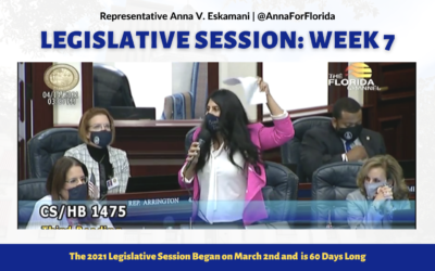 Your Florida Legislative Session Update: Week 7