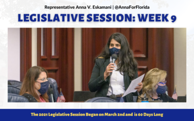 Your Florida Legislative Session Update: Week 9