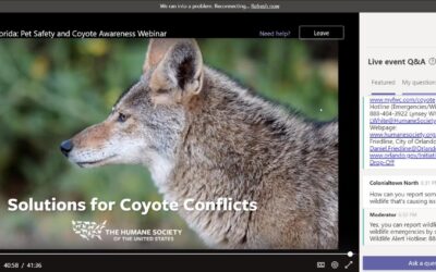 Webinar with FWC and the Humane Society Focused on Coyotes