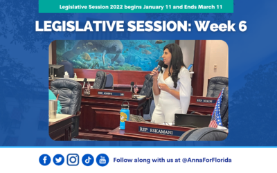 Your Week 6 Legislative Session Review from Team Anna