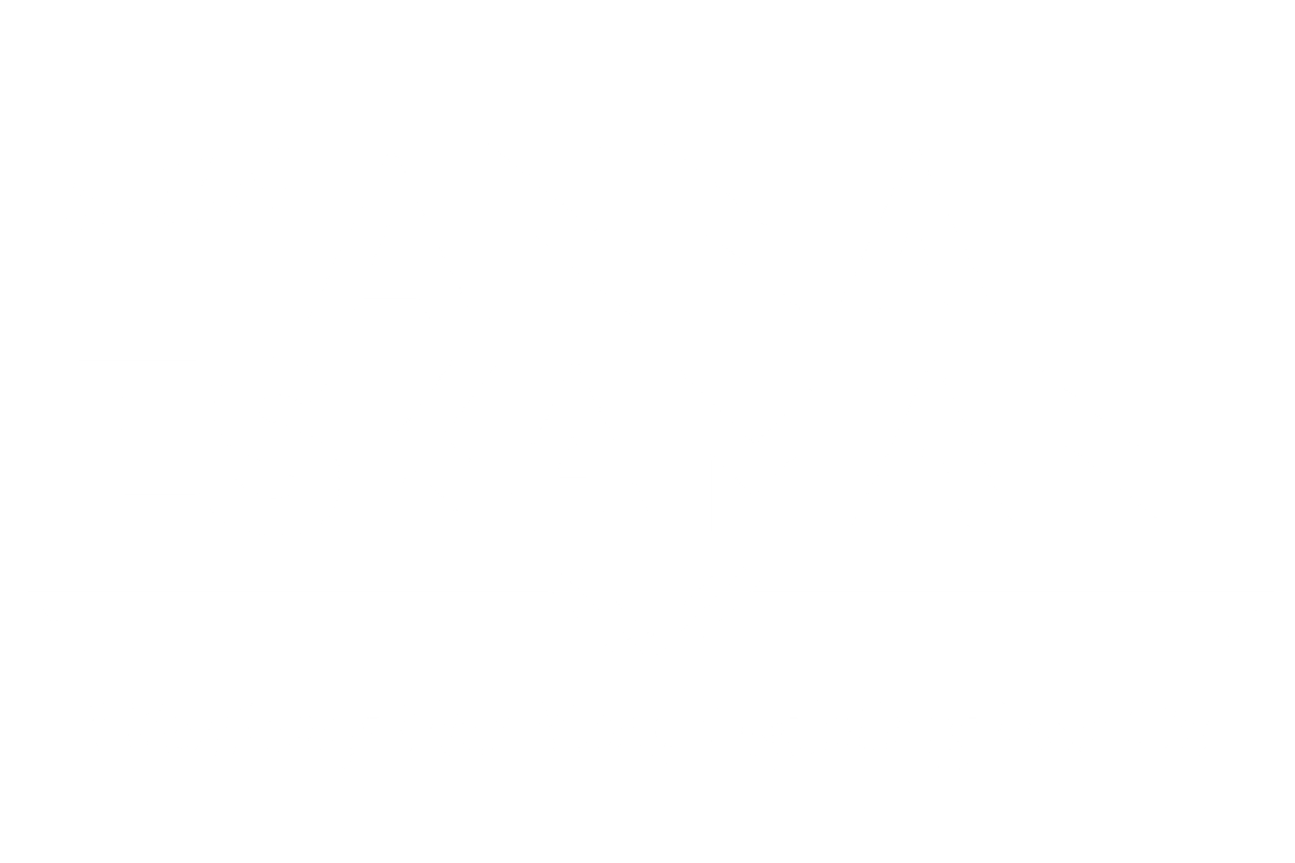 Anna V. Eskamani for Florida House