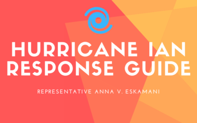 Hurricane Ian Response Guide