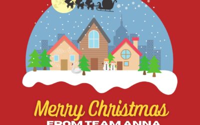 Merry Christmas & Happy Holidays from Team Anna! 🎁