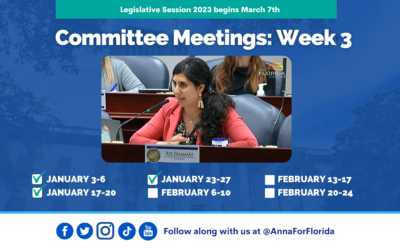 Team Anna Update: Week 3 of Committee Meetings in Tallahassee