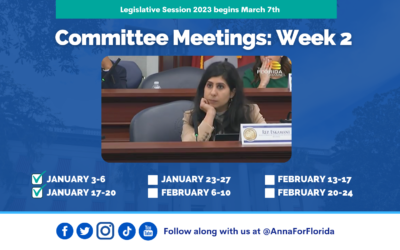 Team Anna Update: Week 2 of Committee Meetings in Tallahassee