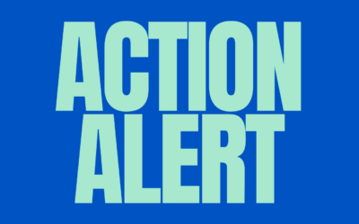 Action Alert: Help Stop Florida’s Abortion Ban