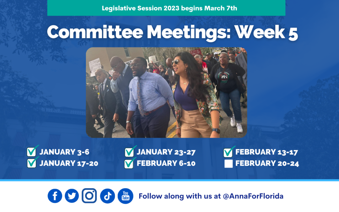 Team Anna Update: Week 5 of Committee Meetings in Tallahassee