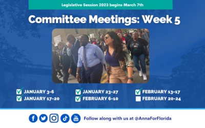 Team Anna Update: Week 5 of Committee Meetings in Tallahassee