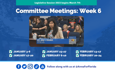 Team Anna Update: Week 6 of Committee Meetings in Tallahassee