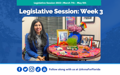Team Anna Update: Week 3 of Legislative Session in Tallahassee