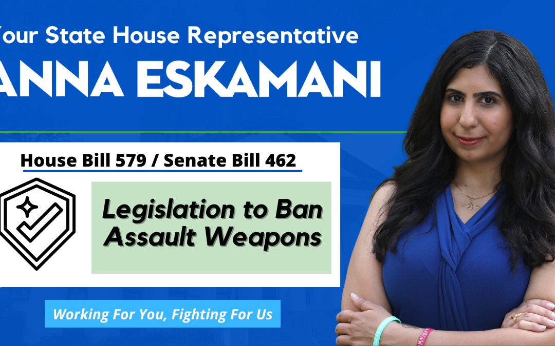 Senator Lori Berman & Representative Anna V. Eskamani File Legislation to Ban Assault Weapons