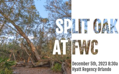 Help Save Split Oak Forest 🌳🐢