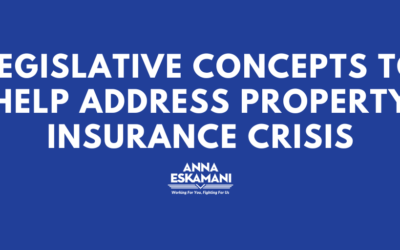 Legislative Concepts to Help Address Property Insurance Crisis