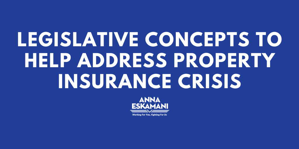 Legislative Concepts to Help Address Property Insurance Crisis