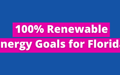 Representative Anna V. Eskamani and Senator Lori Berman Reintroduce Bill to Establish 100% Renewable Energy Goals for Florida