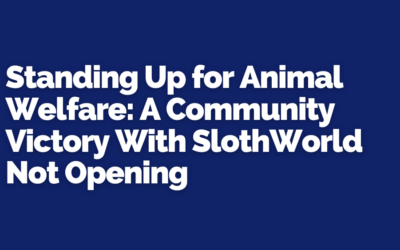Standing Up for Animal Welfare: A Community Victory With SlothWorld Not Opening