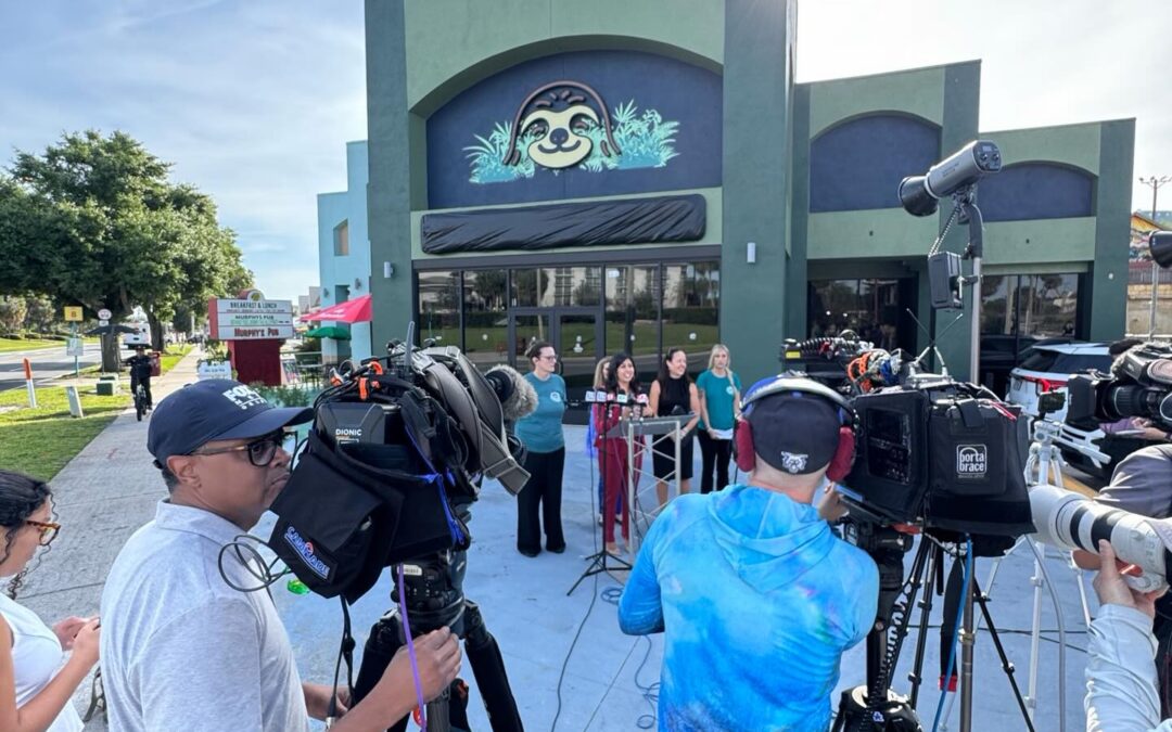 An update on Sloth World — and the fight for accountability