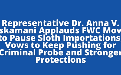 Representative Dr. Anna V. Eskamani Applauds FWC Move to Pause Sloth Importations, Vows to Keep Pushing for Criminal Probe and Stronger Protections