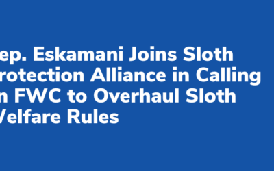 Rep. Eskamani Joins Sloth Protection Alliance in Calling on FWC to Overhaul Sloth Welfare Rules